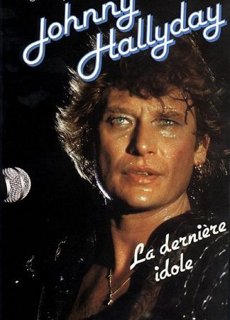 Johnny Hallyday : La dernière idole (Littérature)